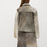 Isata-M_Grey Cow_Model_4