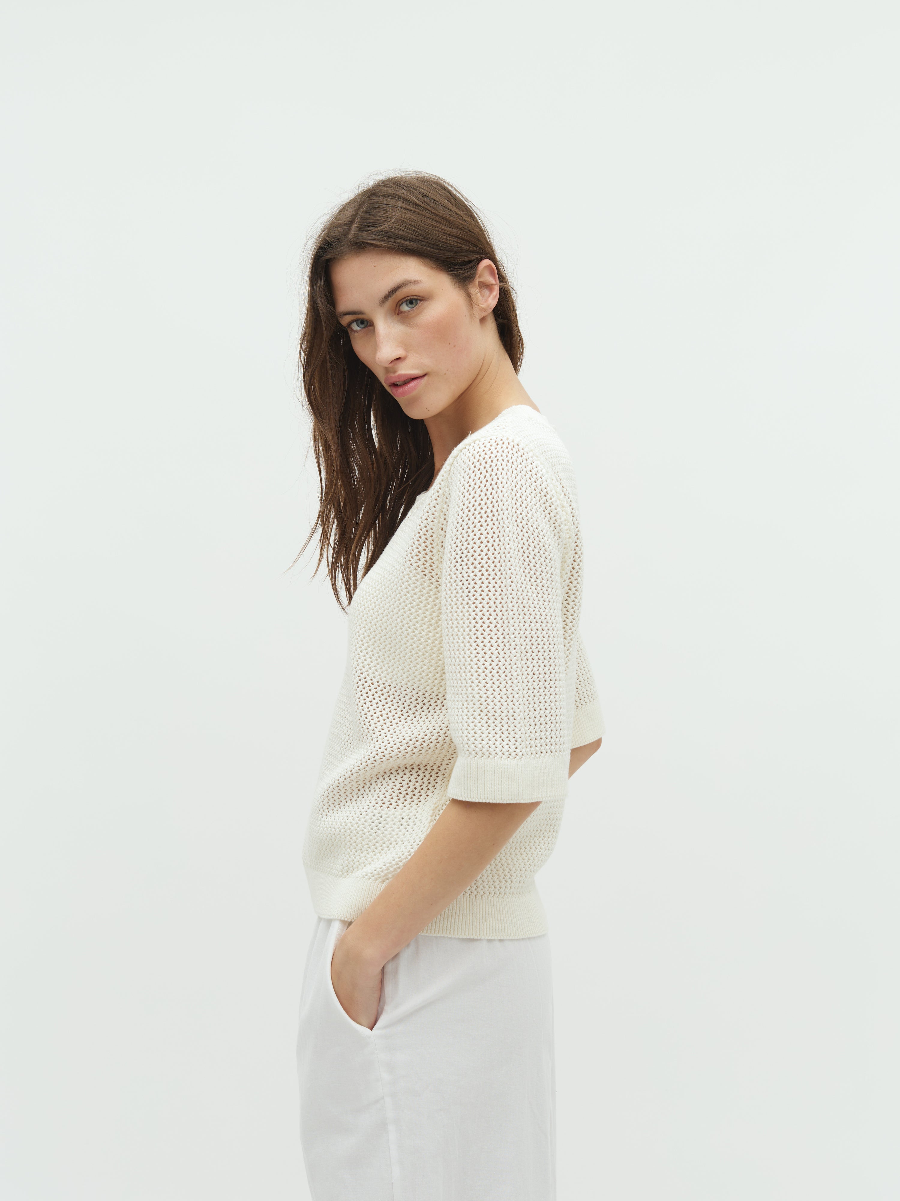 Neale-M_Sugar_Model_2