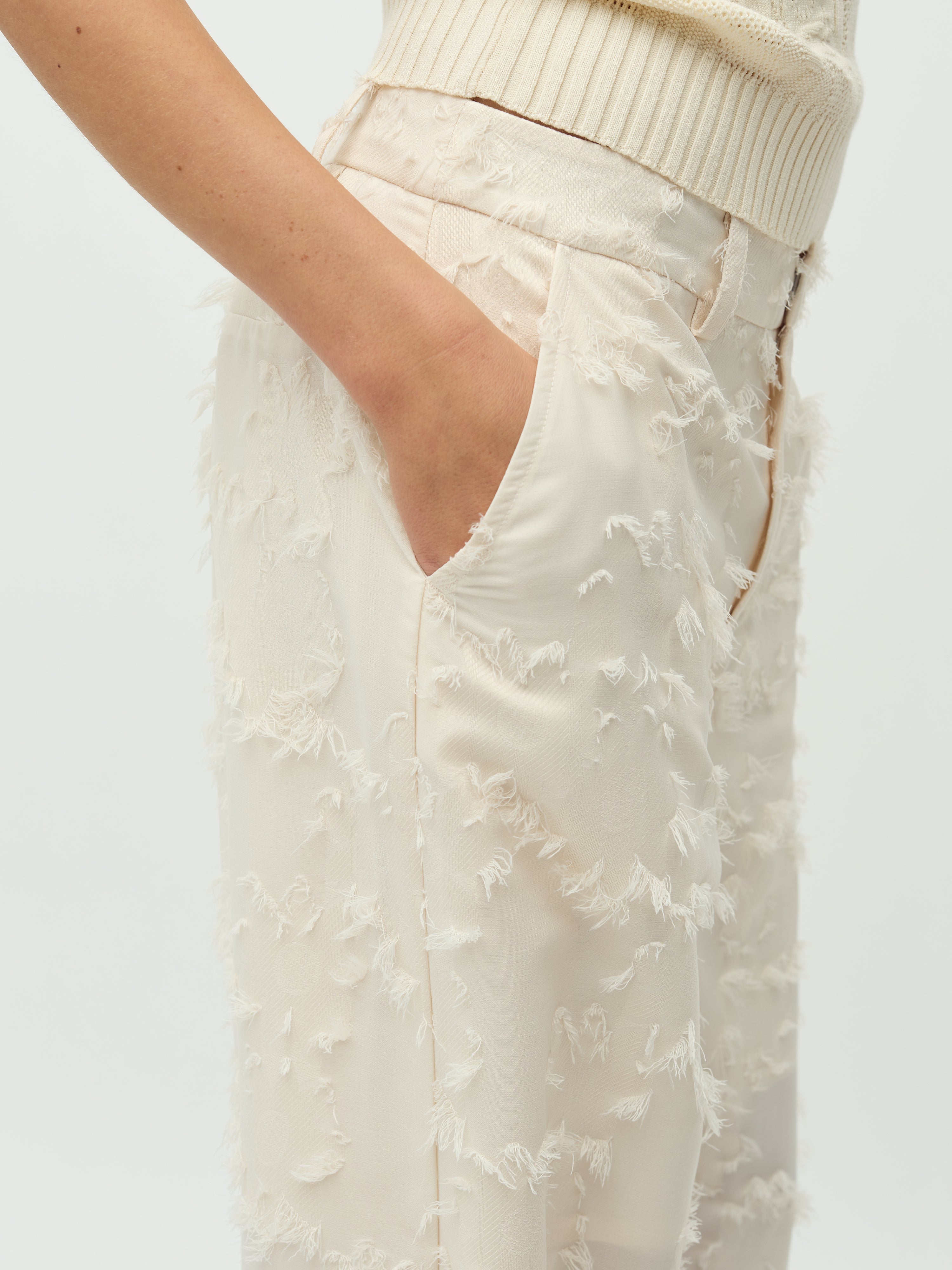 Cavia Long-M_Sugar_Model_3