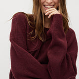 Sionan-M_Fig_Model_1