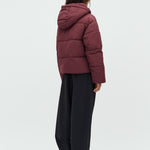 Mishal-M_Vineyard Wine_Model_2