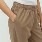 Axis-M_Timber Wolf Mel._Model_2