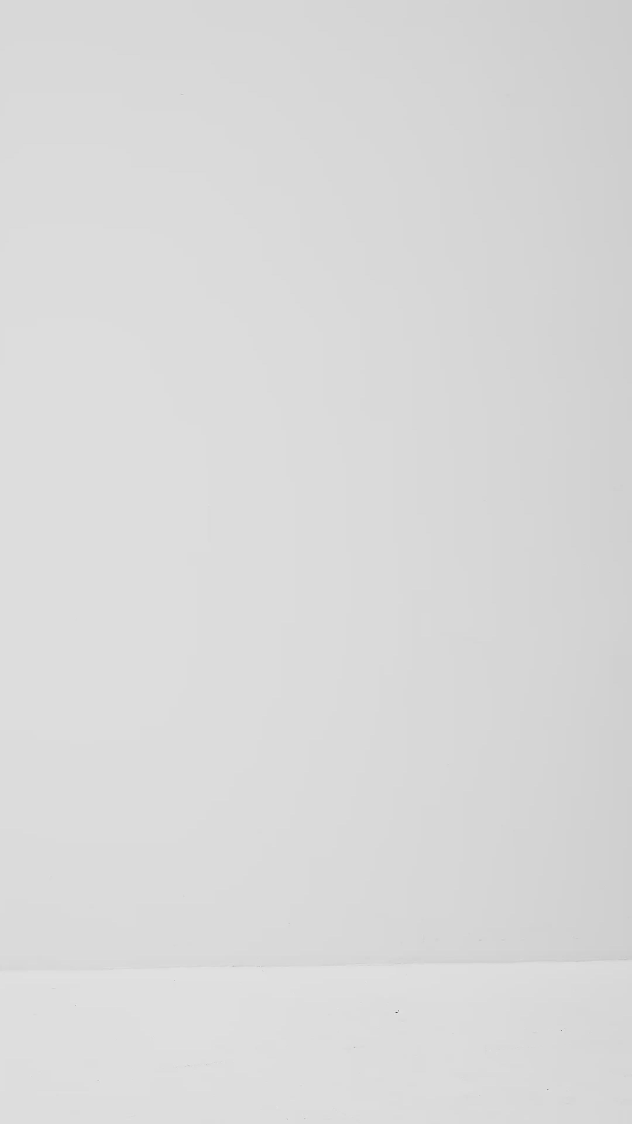 Lucy-M_Medium Melange_Video_1