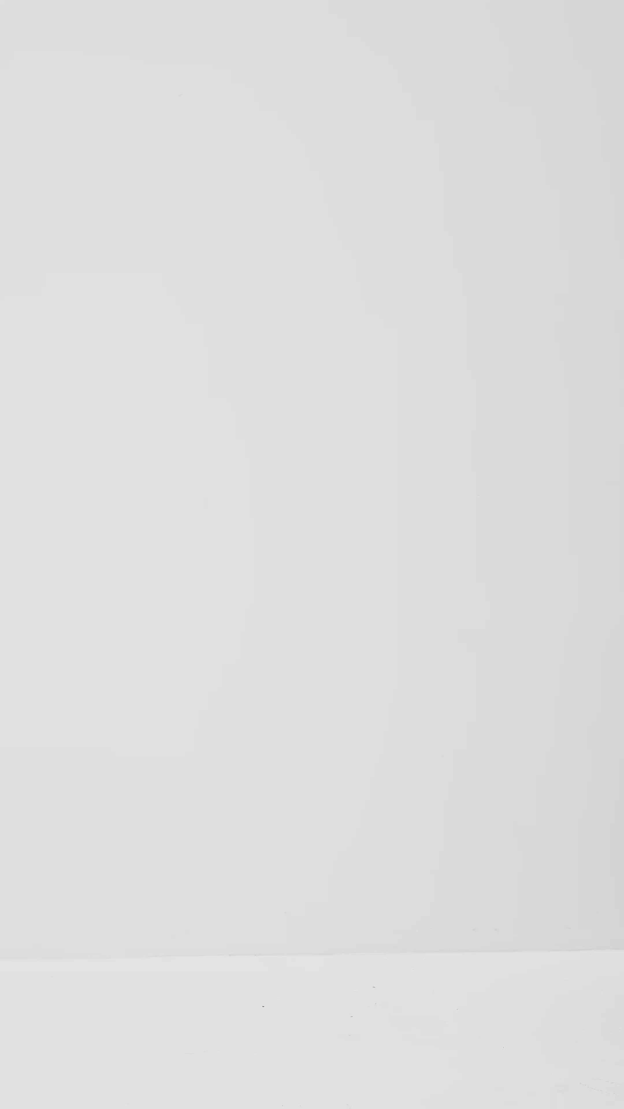 Lucy-M_Medium Melange_Video_