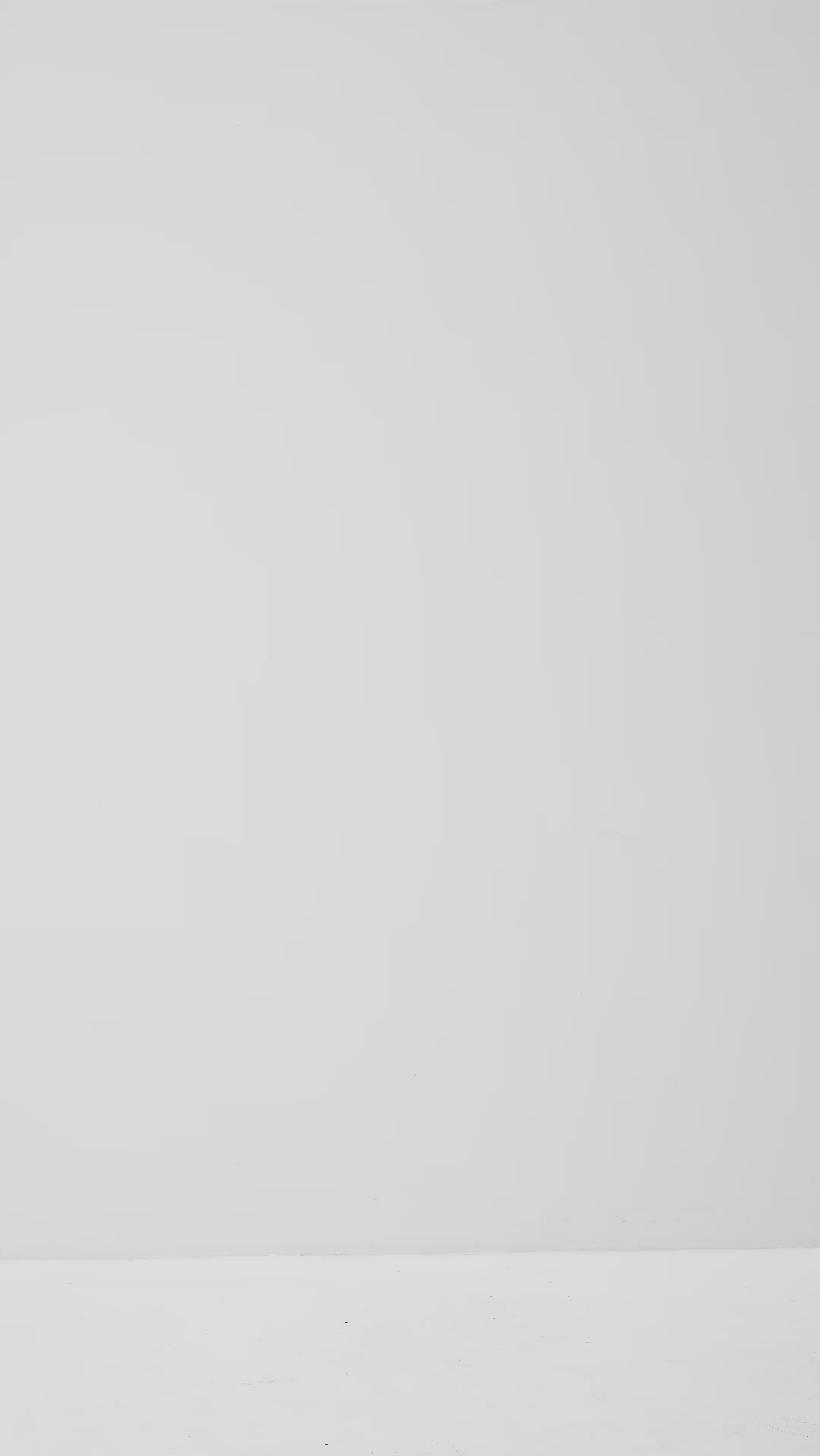 Lucy-M_Medium Melange_Video_