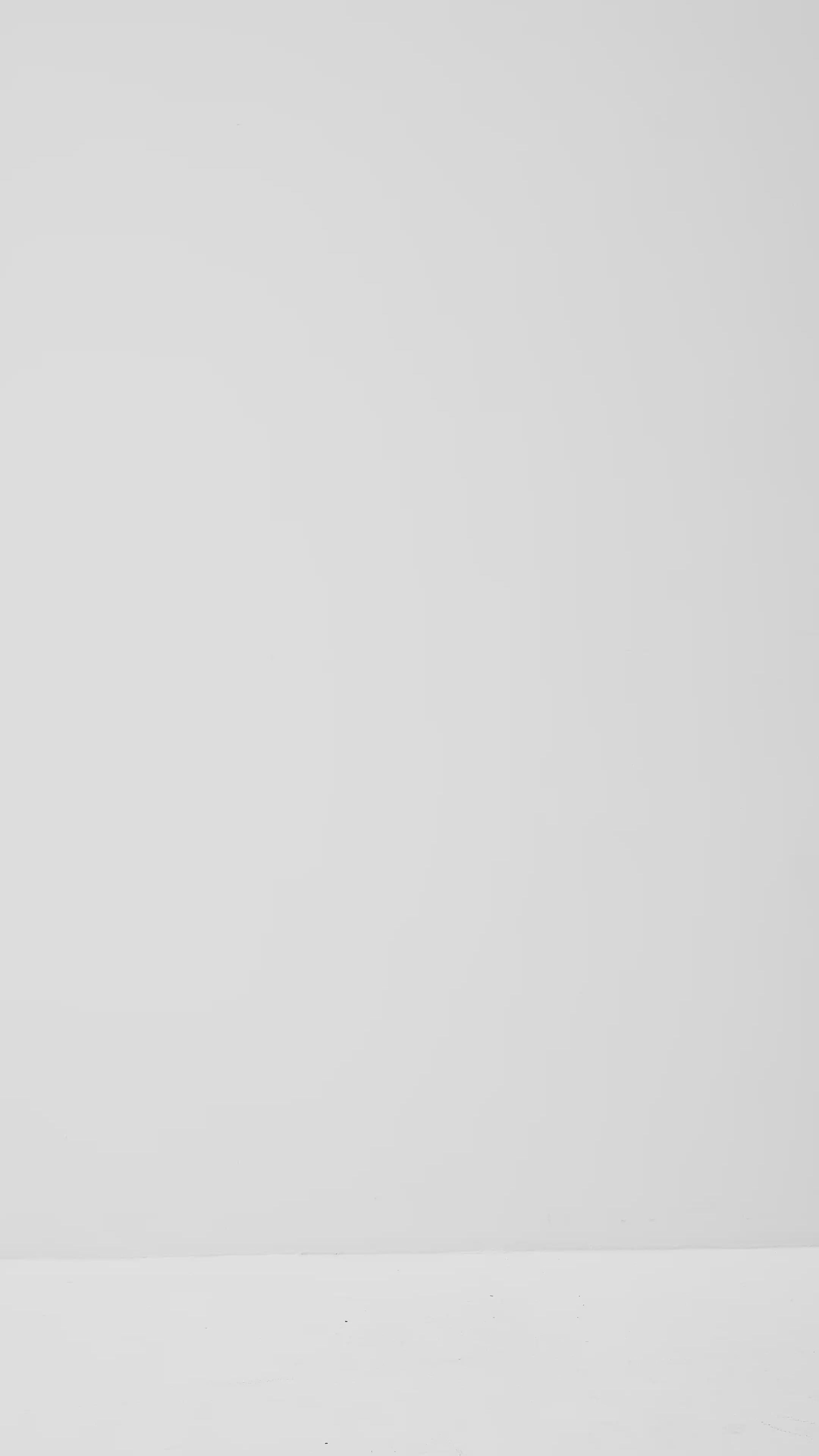 Lucy-M_Medium Melange_Video_