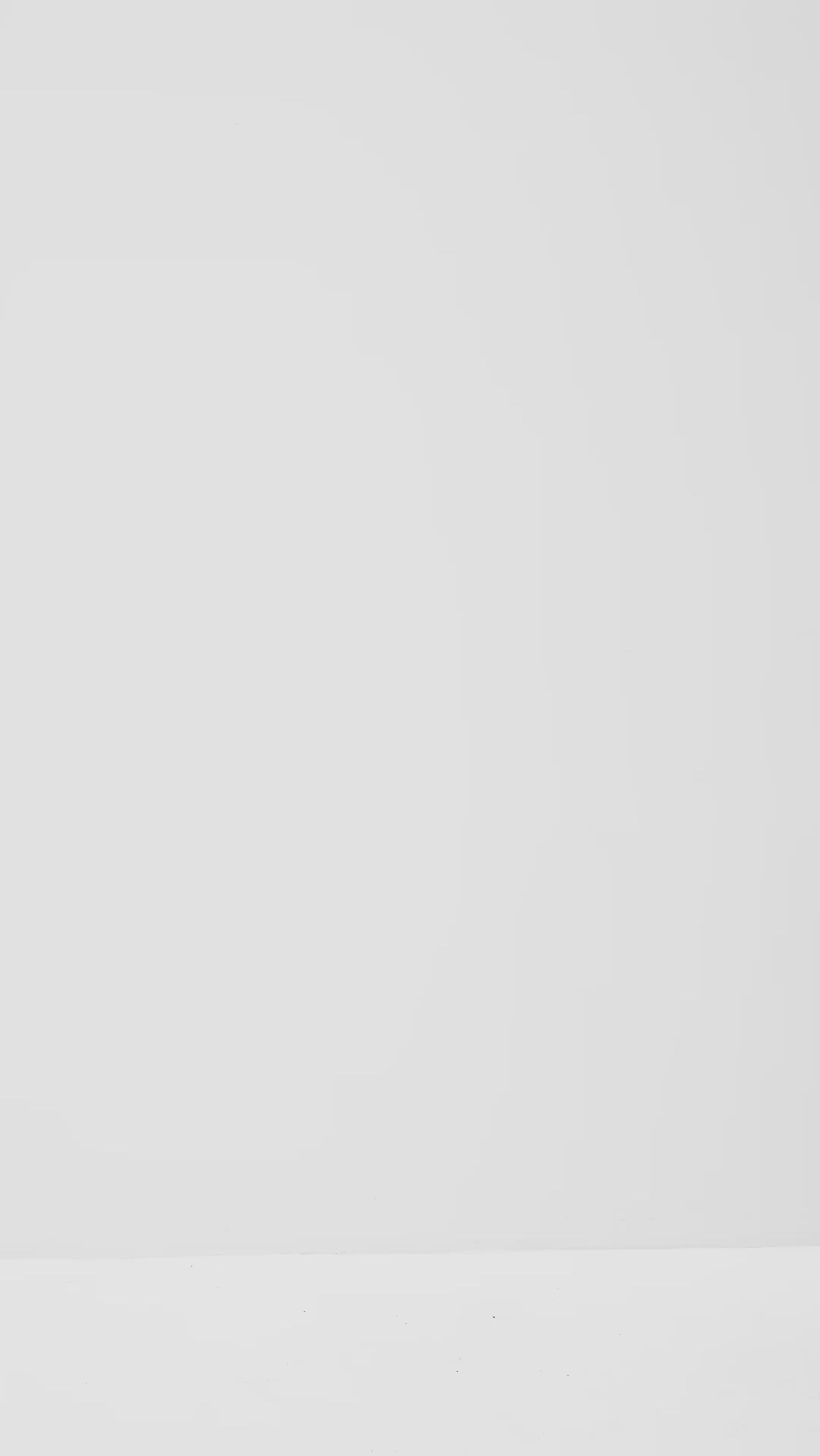 Maiianne-M_Black_Video_