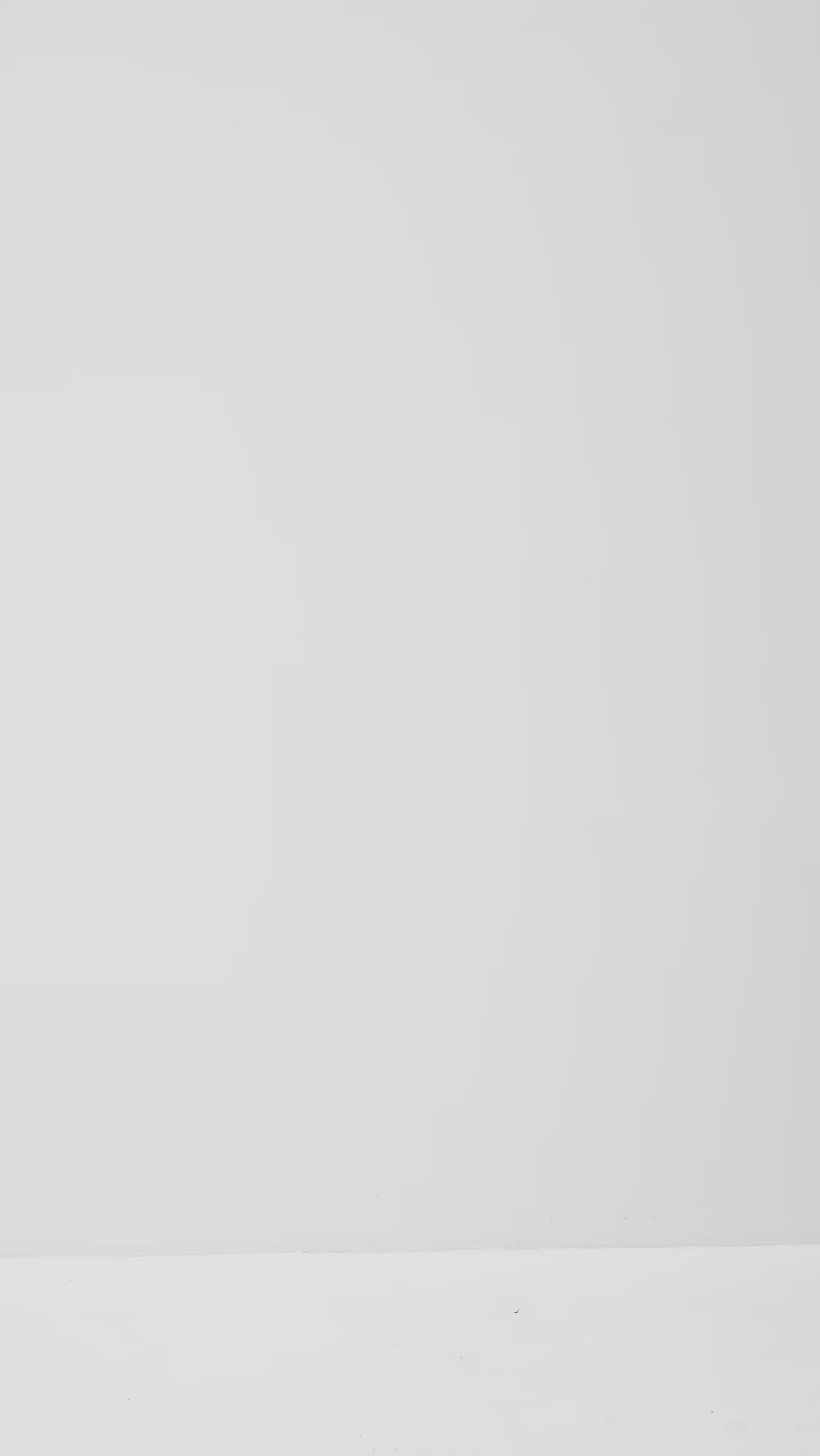 Lucy-M_Medium Melange_Video_0